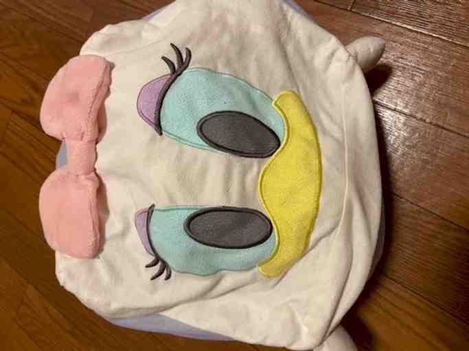 サラ愛用抱き枕⭐︎2年半