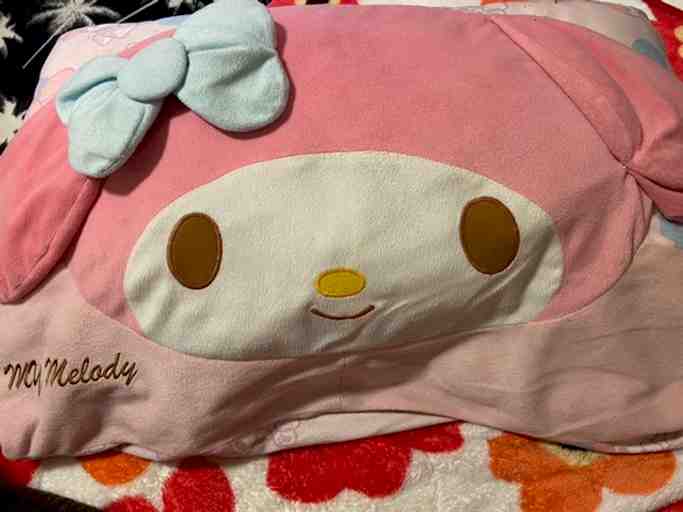 3年愛用枕❤️髪体臭汗匂いしっかり