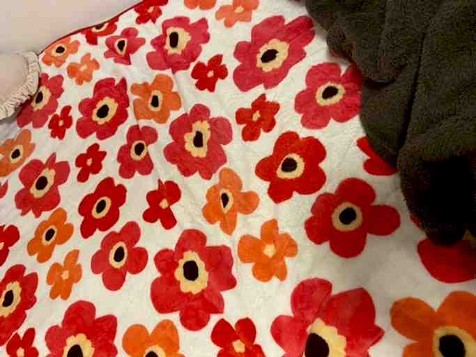 半年以上洗ってない敷きパッド