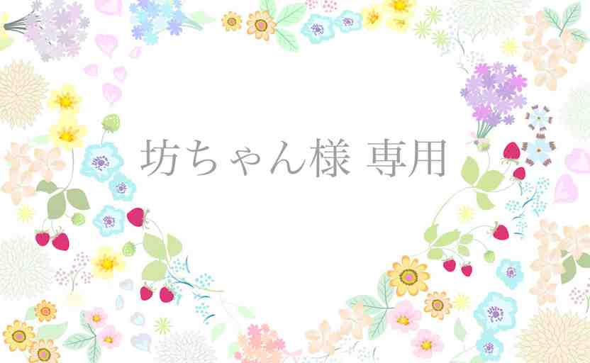 坊ちゃん様専用ページ