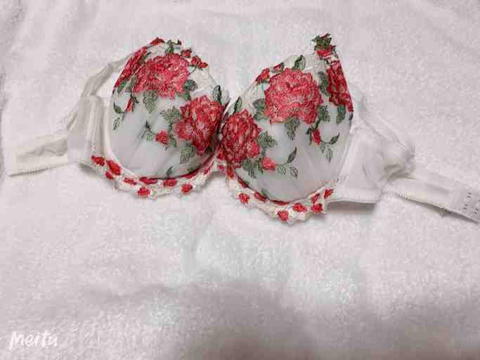 Fカップブラジャー