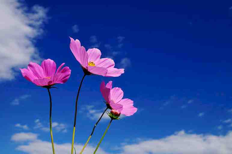 hikamiさま専用商品