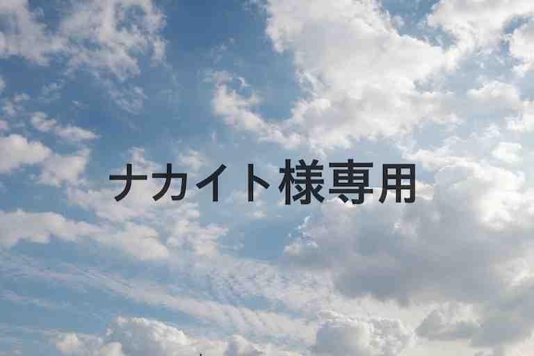 ナカイト様専用