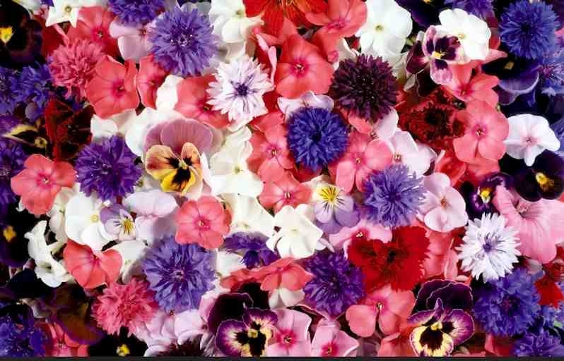 たかふみ様専用出品♡