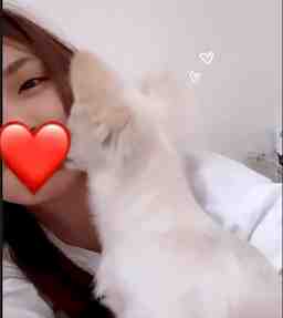 ✧₊⁎麗奈⁎⁺˳