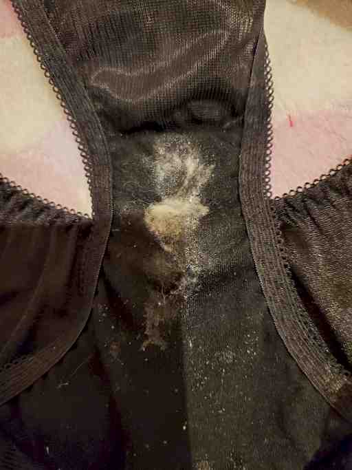 ★大和様専用★