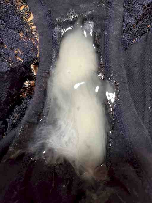 ★もぴーちゃん専用★