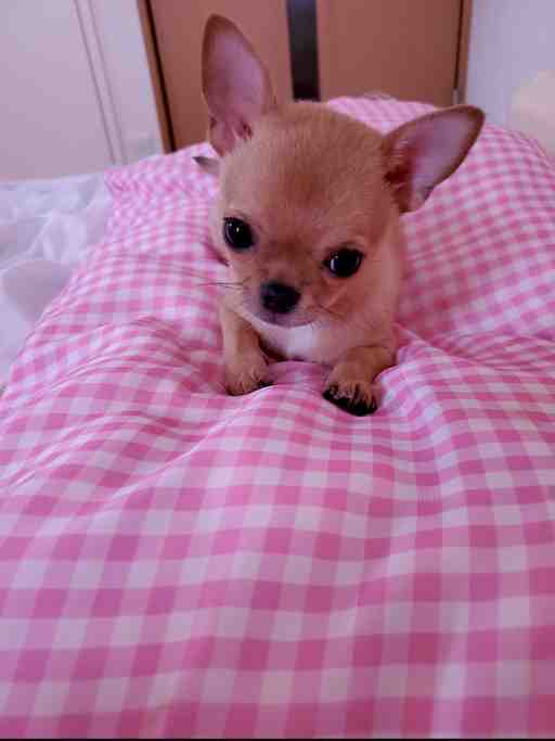 ★マサさま専用★