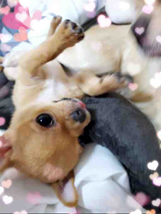 ★もぴちゃん専用★