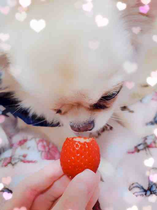 ★もぴたん専用★