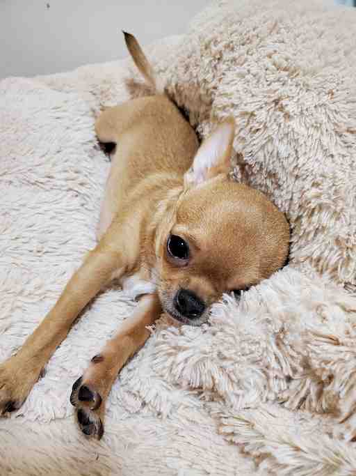 ★もぴたん専用★