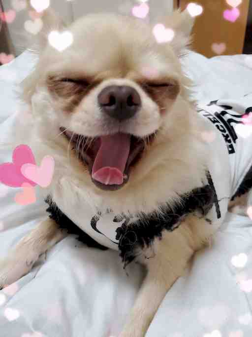 ★もぴたん専用★