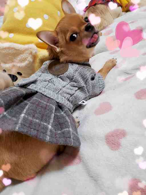 ★マサくん専用★