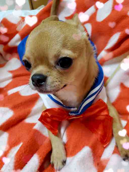 ★マサくん専用★