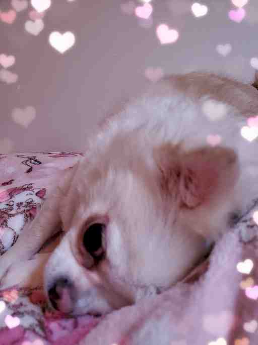 ★イクお様専用★