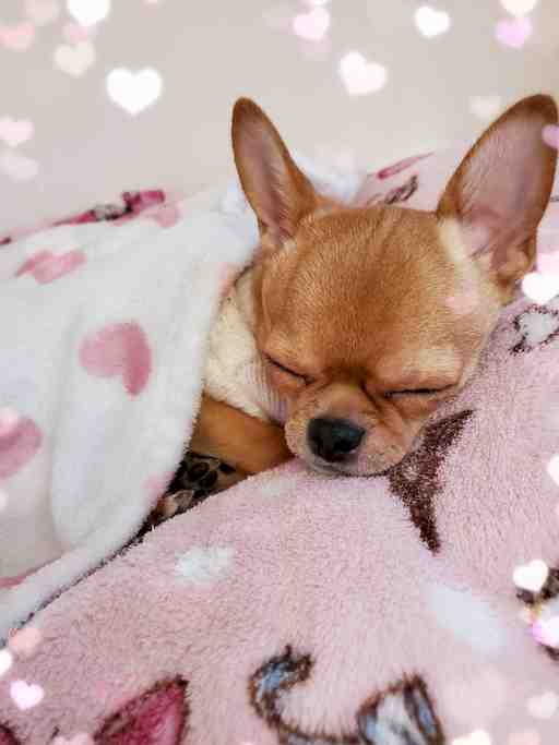 ★もぴたん専用★