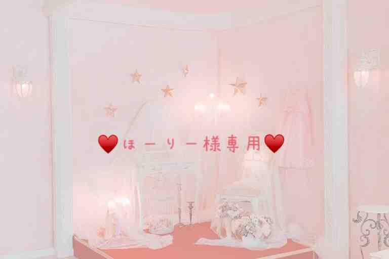 ♥️ほーりー様専用♥️