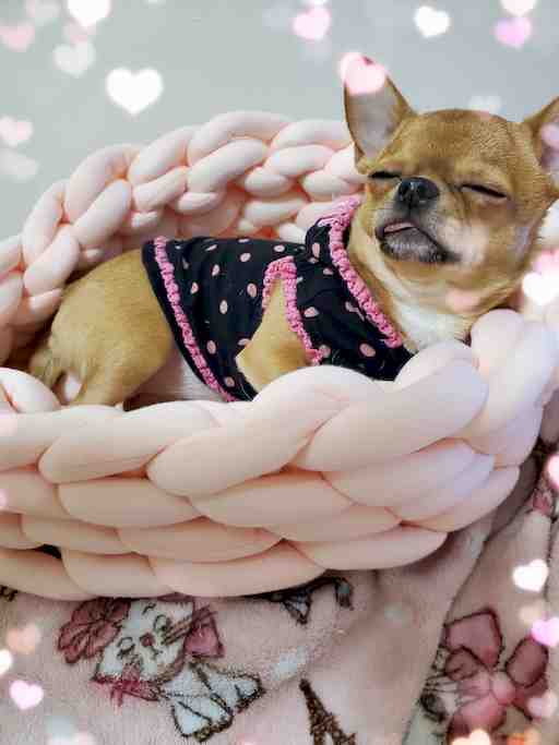 ★もぴたん様専用その1★