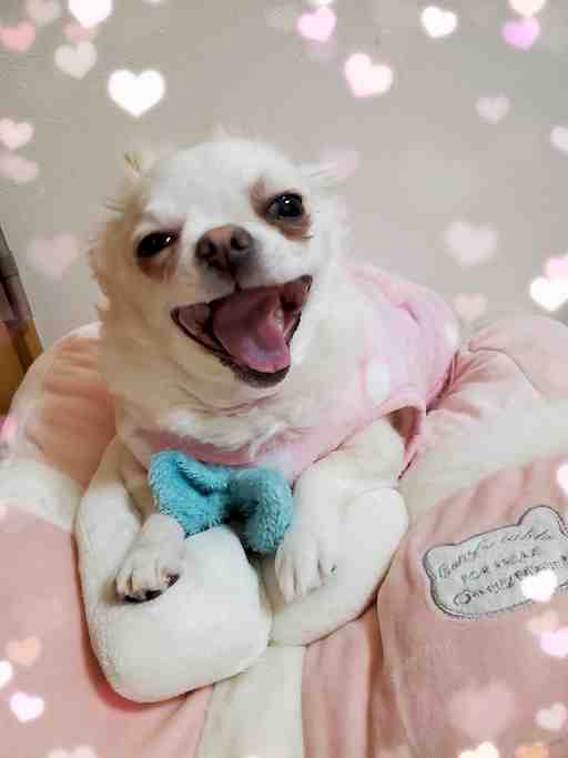 ★もぴたん専用その5★