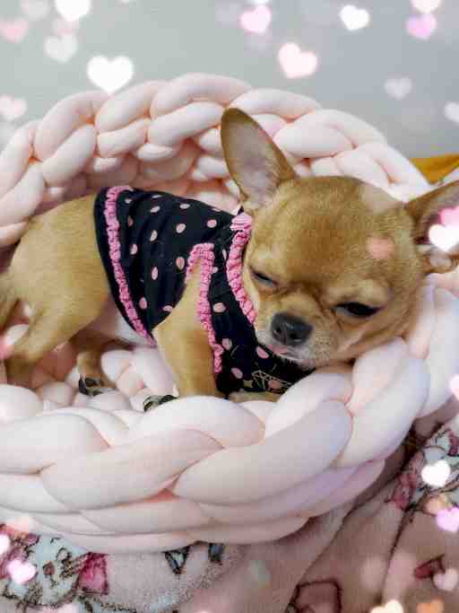 ★もぴたん専用その6★