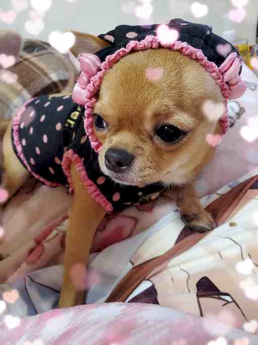 ★もぴたん専用その7★