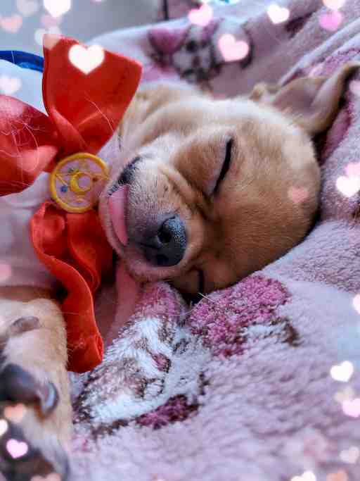 ★もぴたん専用その8★