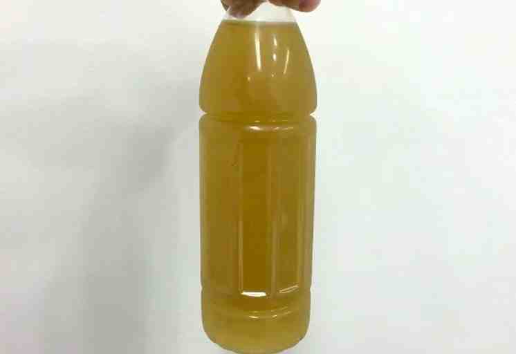 わかなのおしっこ500ml