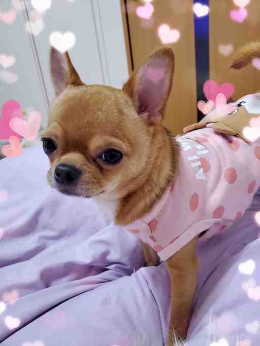 ★もぴたん専用★