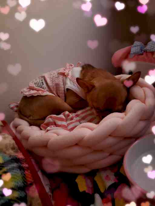 ★かずっち様専用★