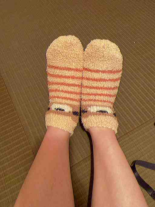 3日入ったもこもこ靴下