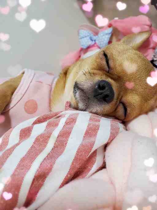 ★もぴたん専用★