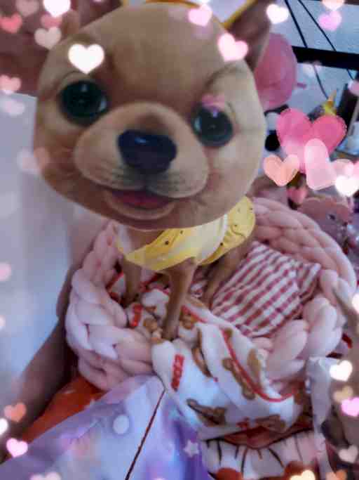 ★もぴたんカンスト★