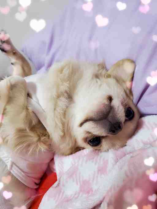 ★mabo様リクエスト★