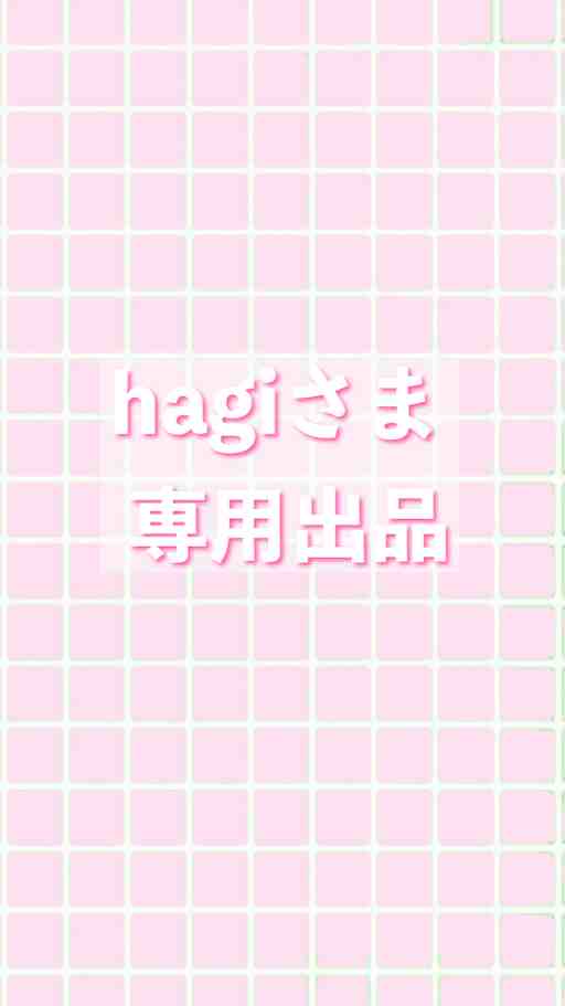 hagi様専用出品
