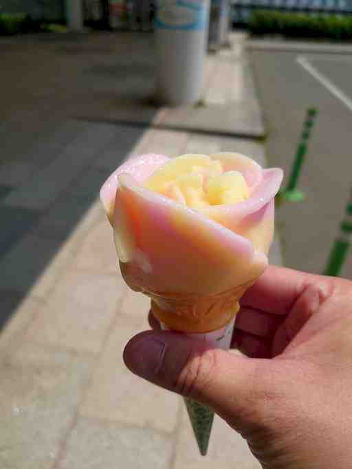 ペガ